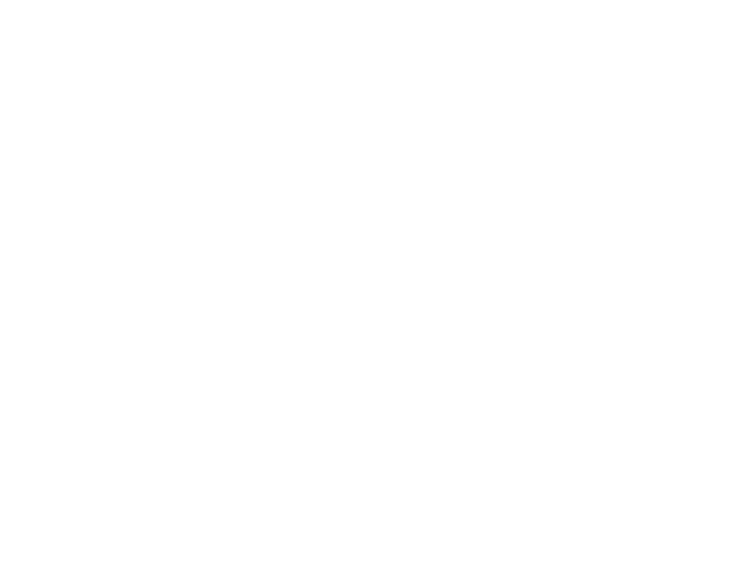 Mariposa Cuántica